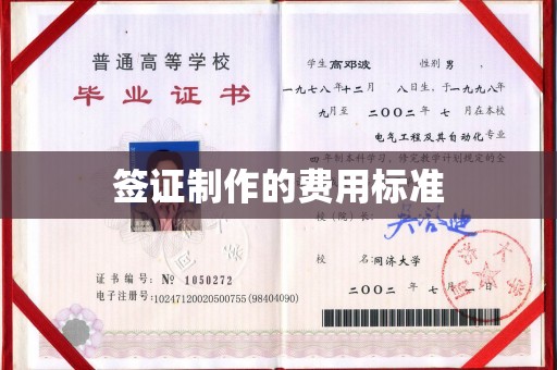 苍溪签证制作的费用标准